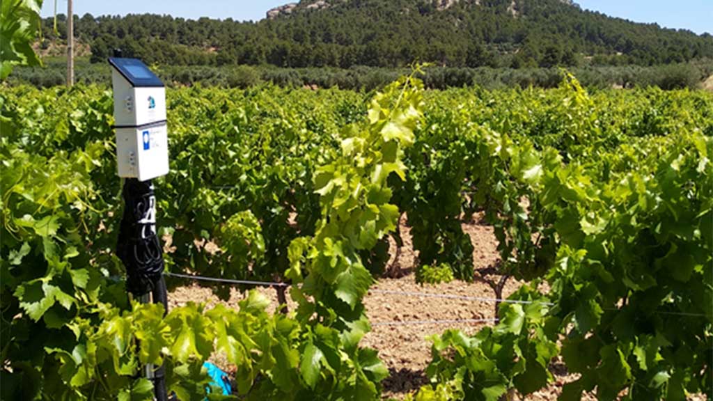 horta-sant-joan-vinya